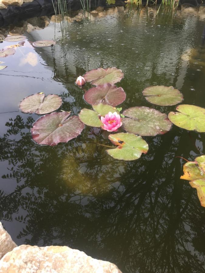 Lelle-Kert Apartman 01 Balatonlelle Luaran gambar